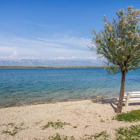 Croliday Alladin Zadar Apartment Vir