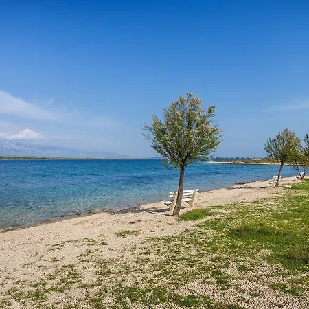 Croliday Alladin Zadar * Vir